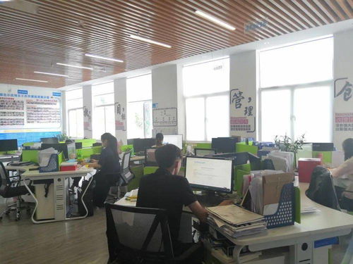 保亭縣電子商務(wù)公共服務(wù)中心誠邀英才，共促商務(wù)信息咨詢服務(wù)發(fā)展